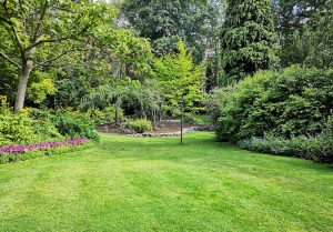 Optimiser l'expérience du jardin à Ivry-le-Temple