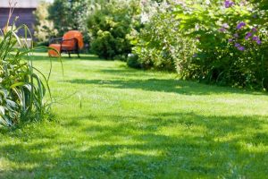 travaux jardin et paysage Ivry-le-Temple